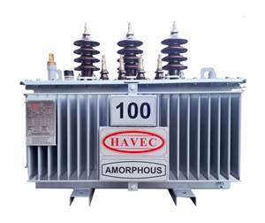 mÁy biẾn Áp amorphose 160kva 22/0,4kv (sao chép)