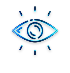 vision